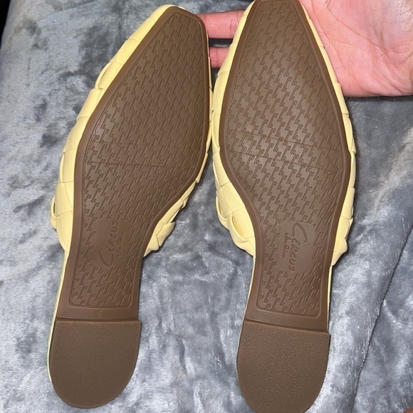 Circus Mule - Picture 3 of 4